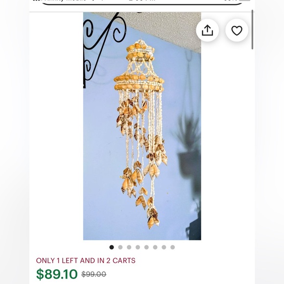 Seashell decor - Picture 6 of 11